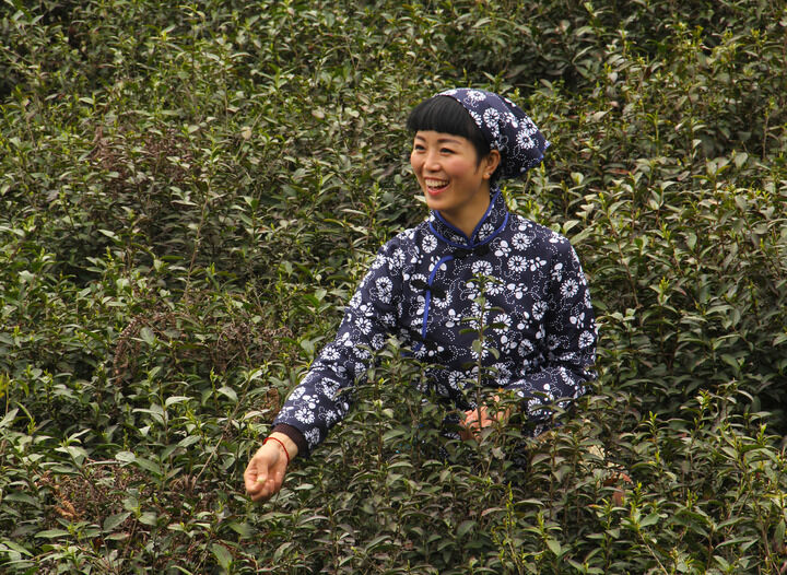 短剧更新